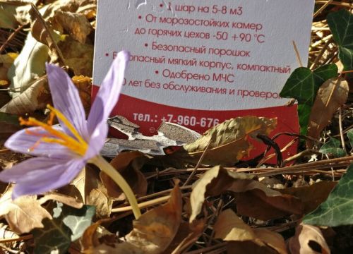 +79036891119 звонок из In3ni