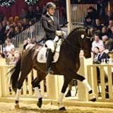 +79037260336 звонок из КСК Гран-При