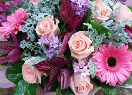 +79037301238 звонок из Удача