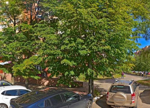 +79037390567 звонок из Истра-Центр