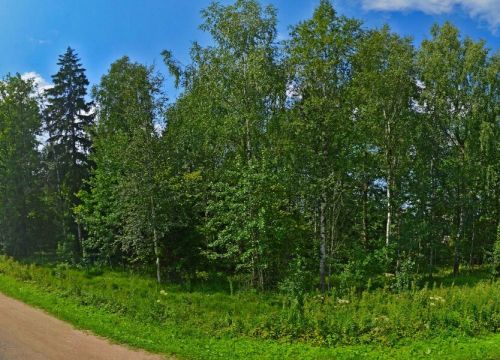 +79037392160 звонок из Пет-Инн