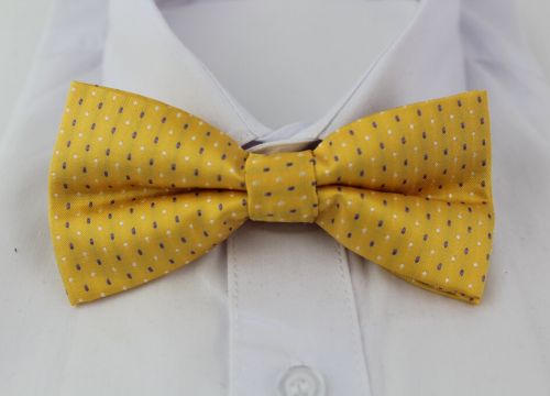 +79037680466 звонок из Leather Belto