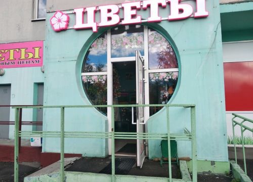 +79037821069 звонок из Анютины глазки