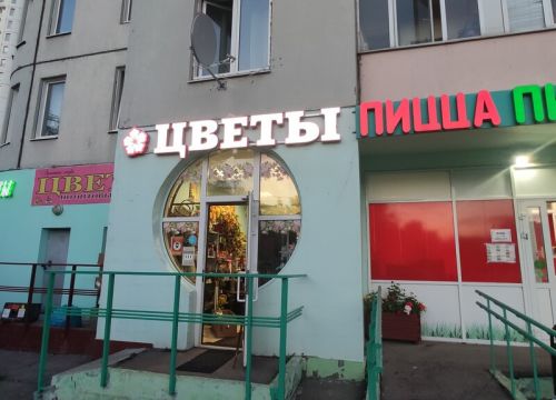 +79037821069 звонок из Анютины глазки