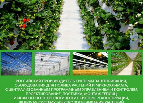 +79038121988 звонок из РусАгроКомплекс