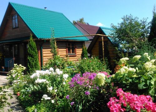 +79038280600 звонок из Баня с веником