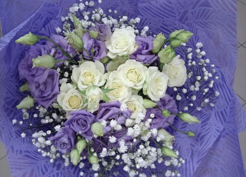 +79038370404 звонок из Тума