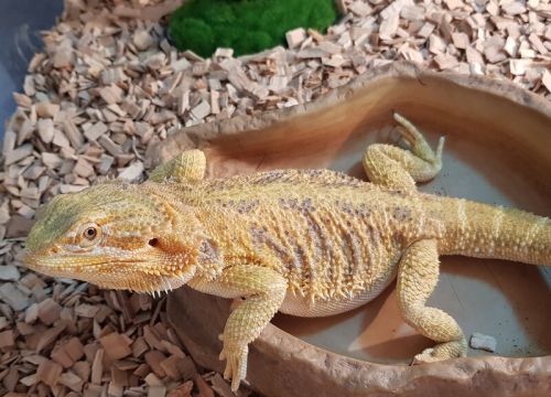 +79038840511 звонок из Зоомагазин Дарвин