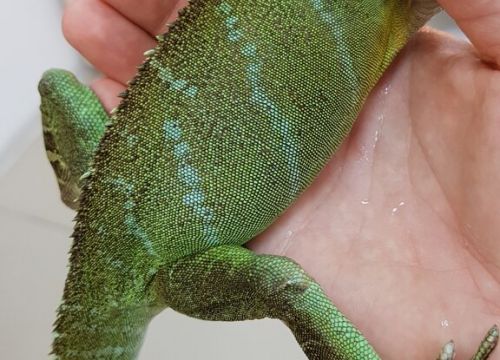 +79038840511 звонок из Зоомагазин Дарвин