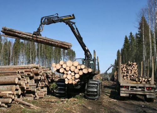 +79038991364 звонок из Костромской Лес