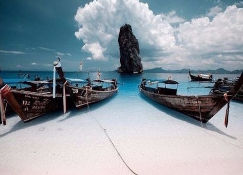 +79039923833 звонок из 360-тур