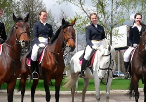 +79040312762 звонок из Детско-юношеская спортивная школа по конному спорту