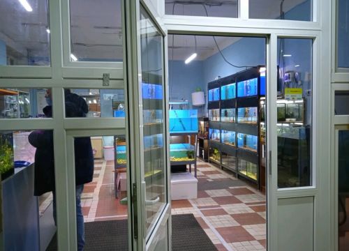 +79040440523 звонок из Природа