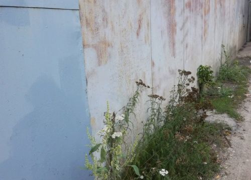 +79042112829 звонок из Мебель Комфорт