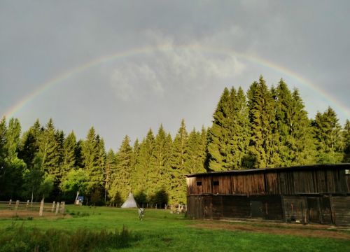 +79043343077 звонок из Лесная Избушка