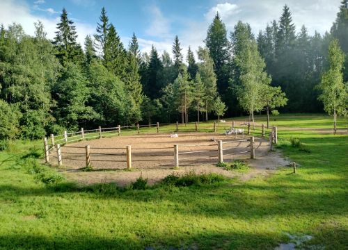 +79043343077 звонок из Лесная Избушка