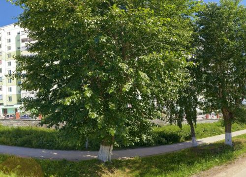 +79043851433 звонок из Медцентр Каменный цветок