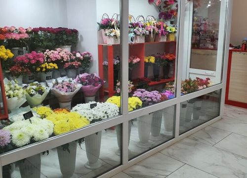 +79046542080 звонок из База Цветов Амстердам