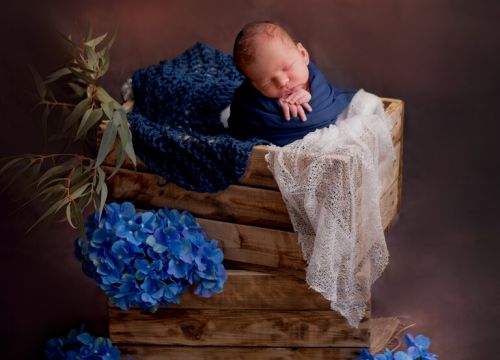 +79046944188 звонок из Фотограф новорожденных Лидия Шубная