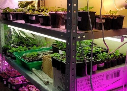 +79047650896 звонок из Казанский сад