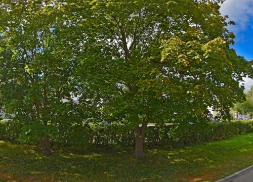 +79049580660 звонок из ТатьЯна