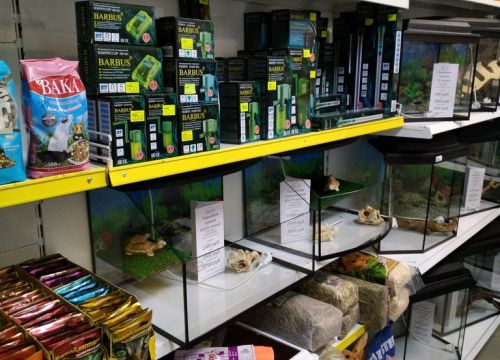 +79050242060 звонок из FlipperAqua