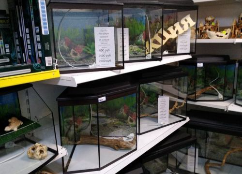 +79050242060 звонок из FlipperAqua