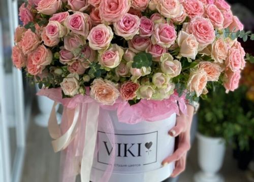 +79050413555 звонок из Viki