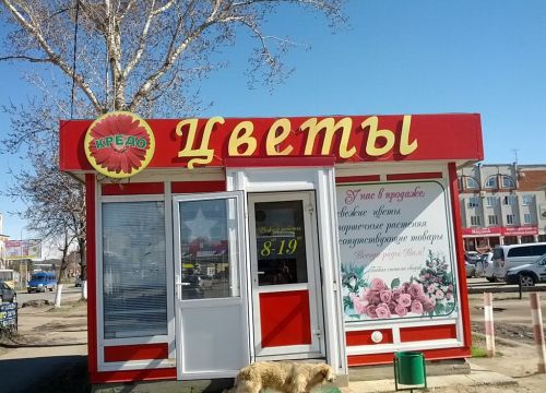 +79051820152 звонок из Цветы Кредо