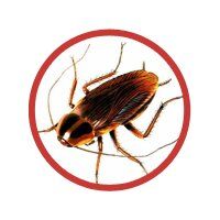 +79051930144 звонок из Первый Дезинфекционный Отдел