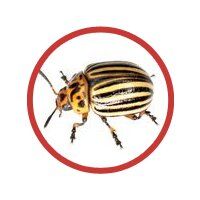 +79051930144 звонок из Первый Дезинфекционный Отдел