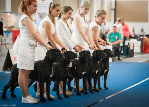 +79051990154 звонок из Питомник Apriori Best