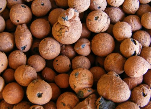 +79052130013 звонок из СТК-Империал