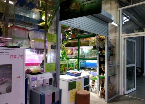 +79052533353 звонок из Зоорифма