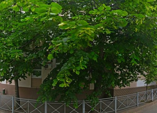 +79053131731 звонок из Телекарта