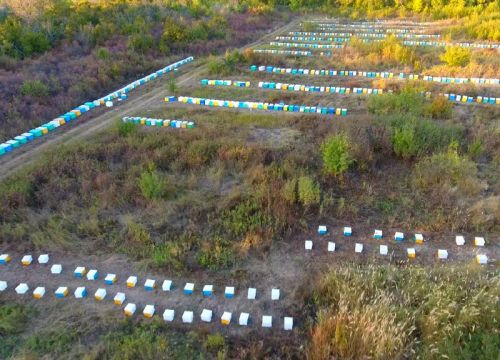 +79053202030 звонок из Международный Пчелоцентр Светла