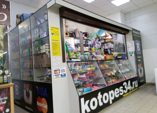 +79053343489 звонок из Котопёс34