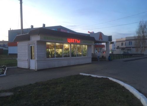 +79053550266 звонок из Цветы