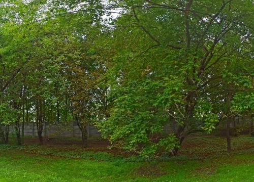 +79055030248 звонок из Шиномонтаж