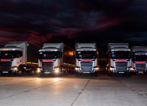 +79055030507 звонок из Дентро