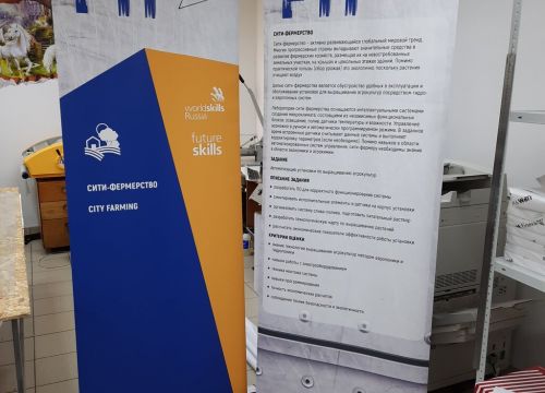 +79055120715 звонок из ХолиАрт
