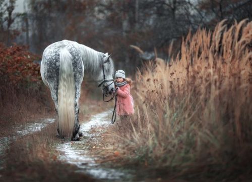 +79055500140 звонок из Серебряная лошадь