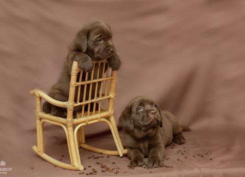 +79055561045 звонок из Рус Юклас