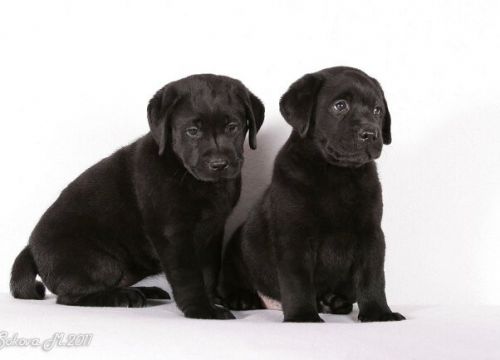 +79055561045 звонок из Рус Юклас