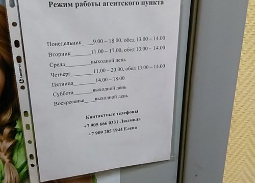 +79056660331 звонок из Faberlic