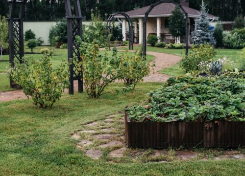 +79056942244 звонок из Zelёnka Studio