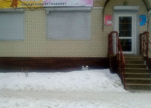 +79056971385 звонок из Ветеринарный кабинет Айболит