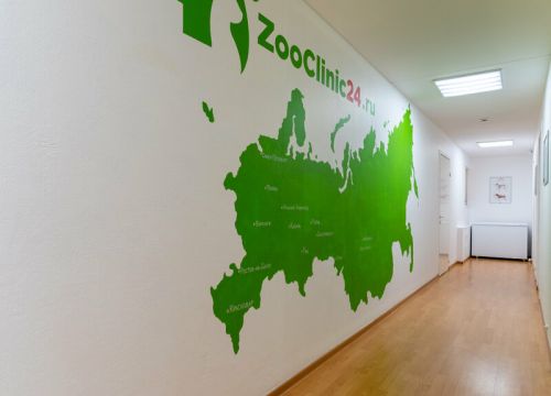 +79057330157 звонок из ZooClinic24