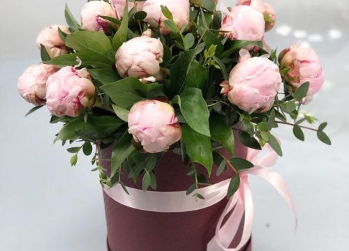 +79057461253 звонок из Цветочный бар