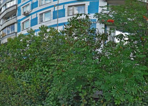 +79057632276 звонок из ХардТулс